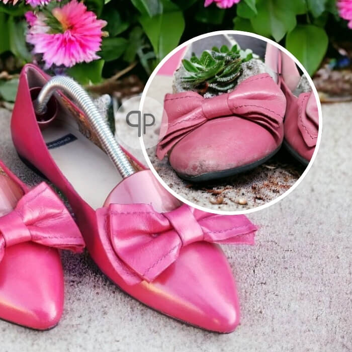 Pantoflelki fuksjowe